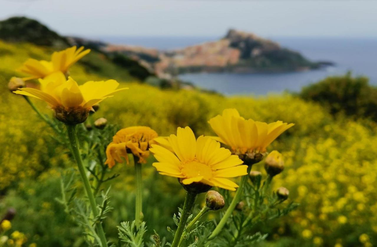 Appartamento Belvedere Castelsardo Extérieur photo